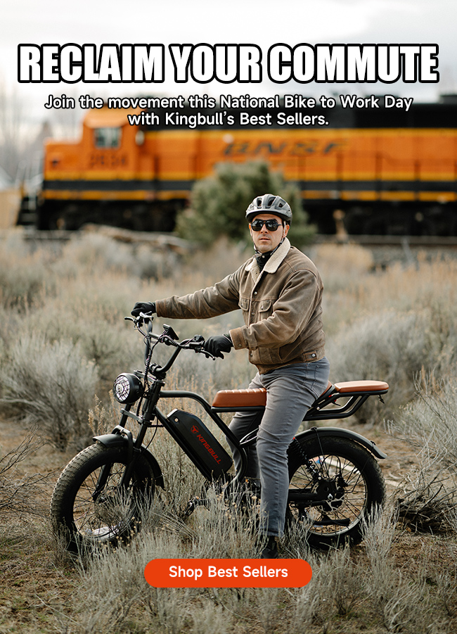 Kingbull Bikes boxshot
