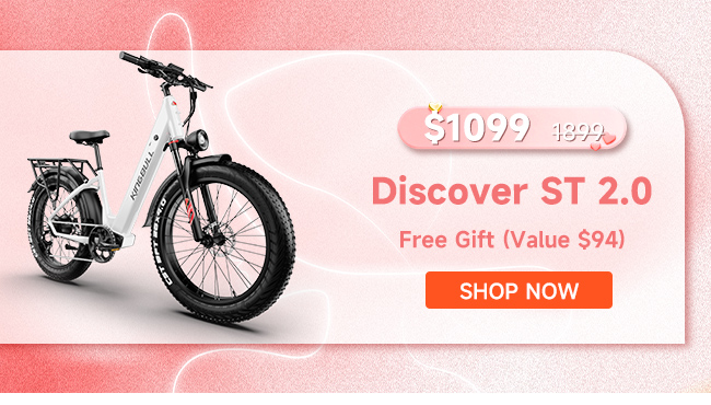 Kingbull Discover ST 2.0 | Premium Off-road & City Electric Bike