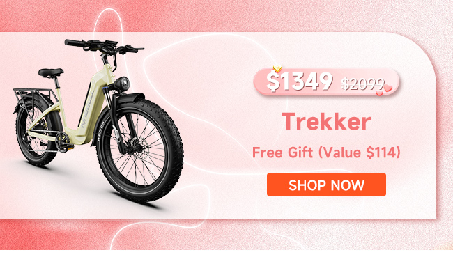 Trekker | Premium Step-Through Electric City Bike