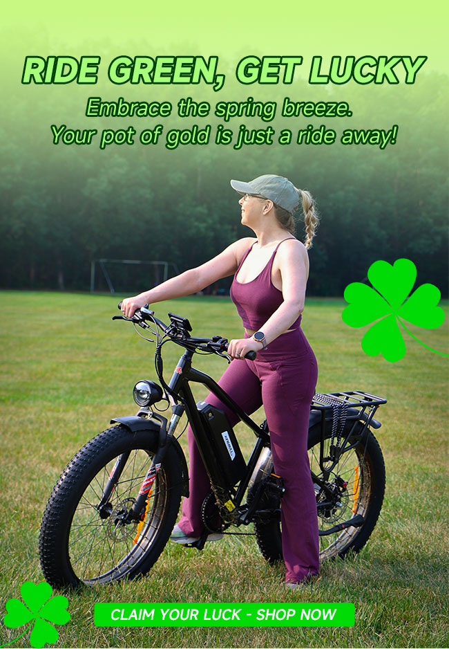 Kingbull Bikes boxshot