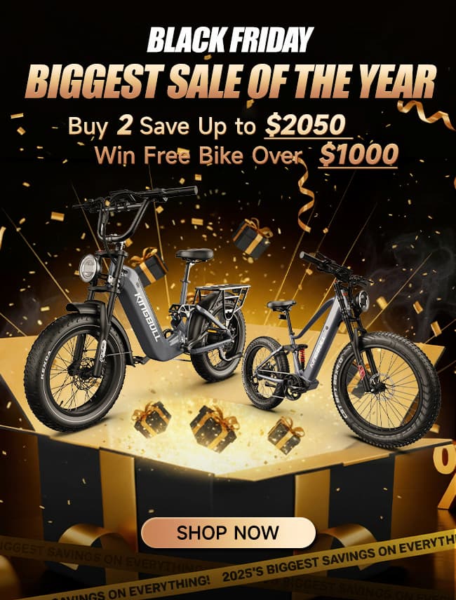 Kingbull Bikes boxshot