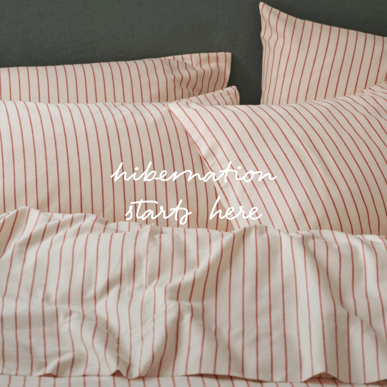 hibernation starts here