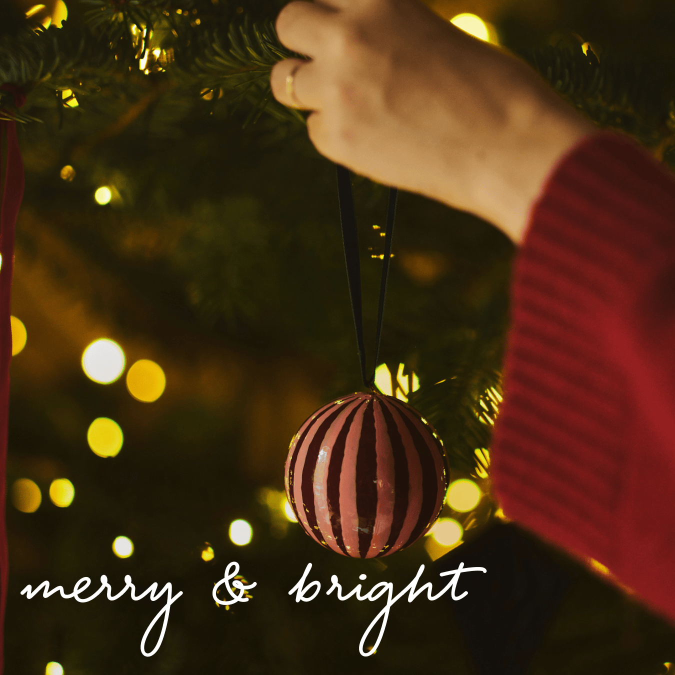 Merry & Bright ...