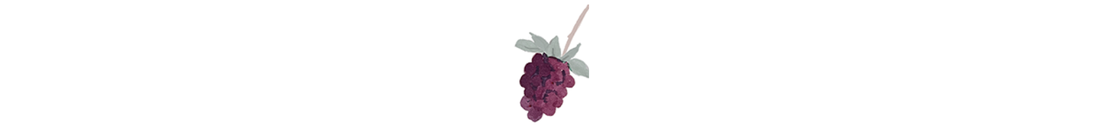 BLACKBERRY ILLUSTRATION