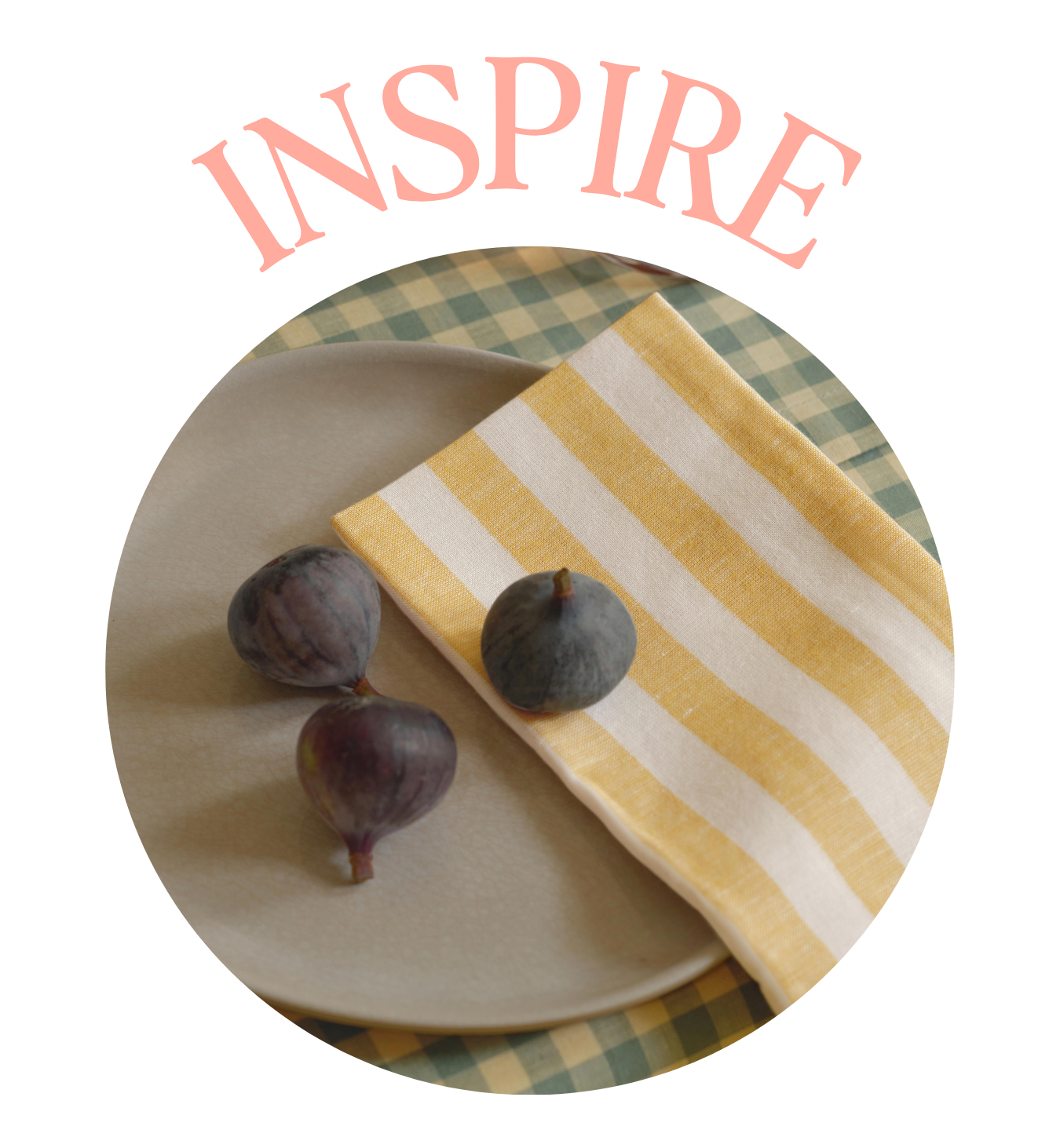INSPIRE