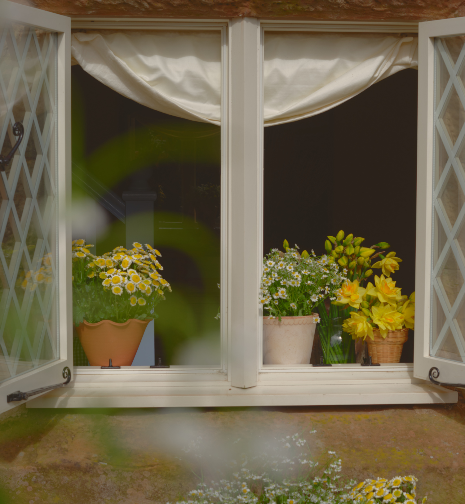 An open window with potted flowers