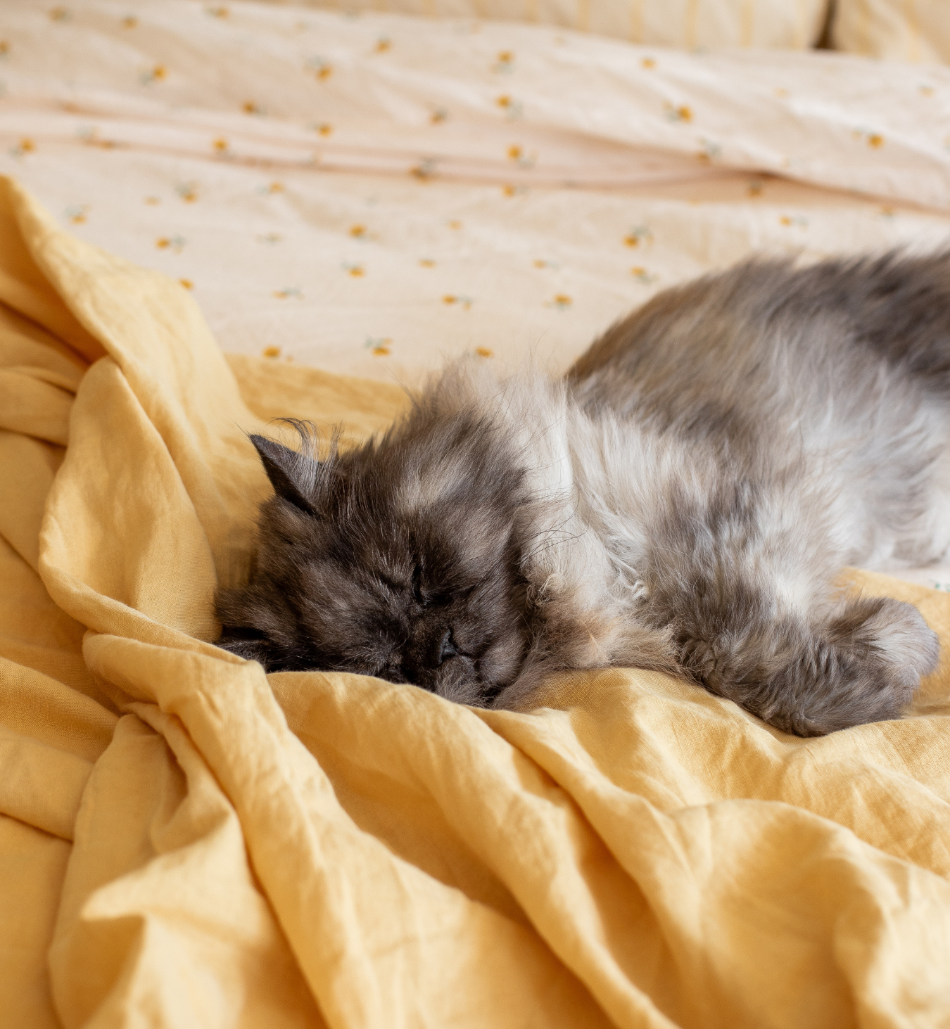 Butter Yellow Linen Blend Flat Sheet