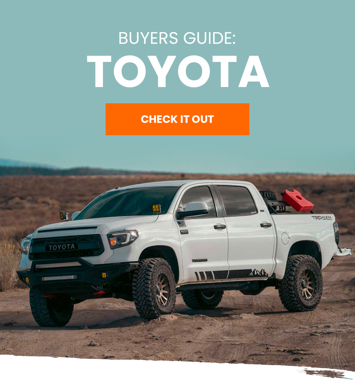 Ready to go Places, Shock Surplus? Shock Surplus