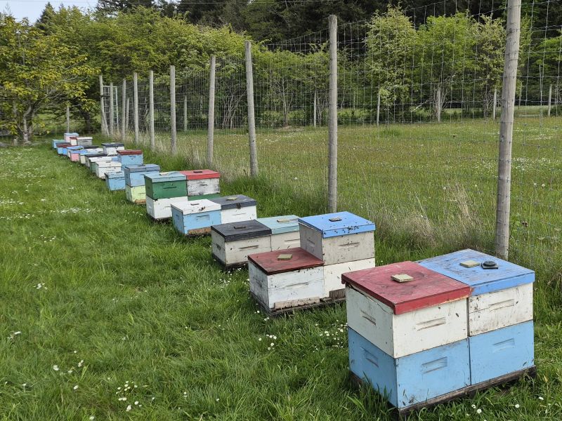Our hives start as single boxes, but as they grow larger we stack a second box on top