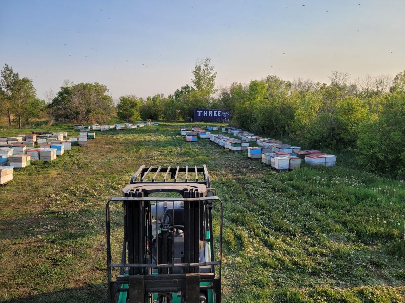 A forklift on a mowed field full of beehives