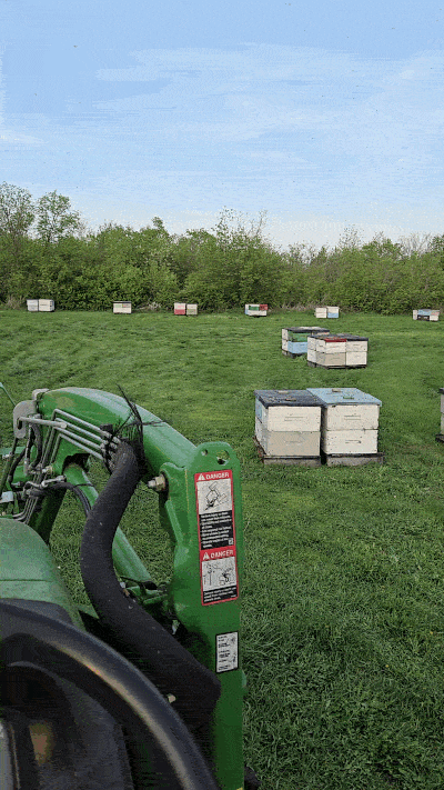 Cruising the yard after all the hives were unloaded off the truck