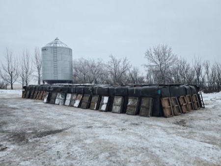 Our cozy hives, all stacked up and wrapped up together
