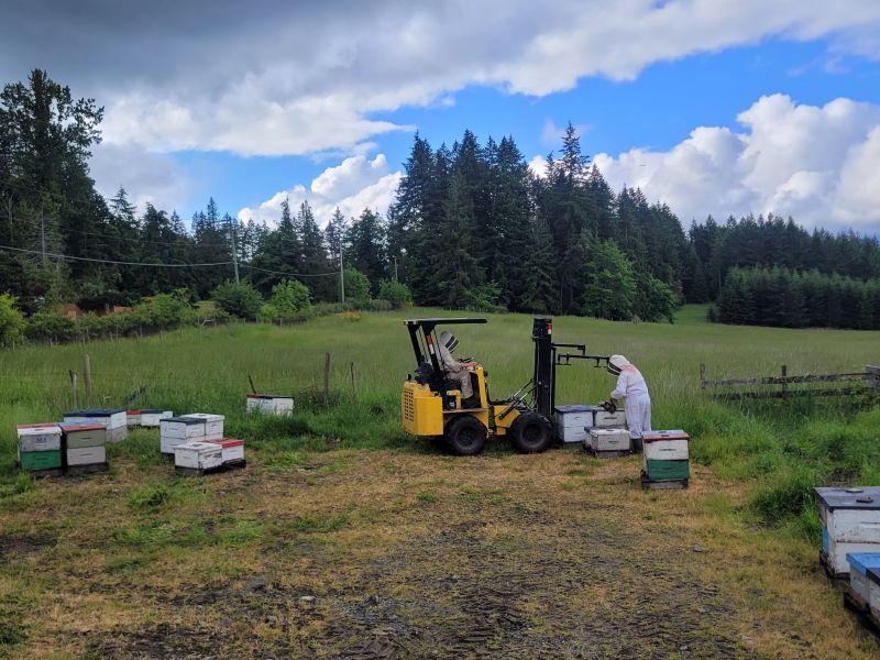 A person in a beekeeping suit unloading hives from a forklift