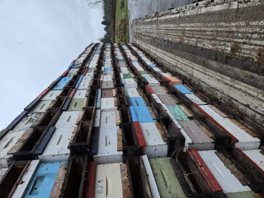 The hives on the truck as we unload in Vancouver Island