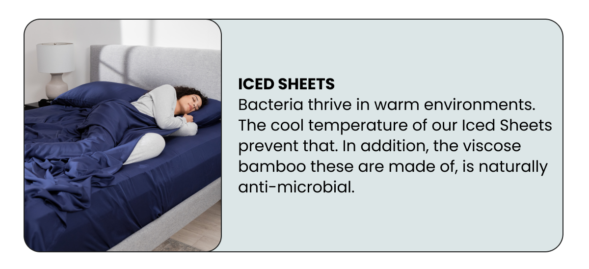 Explore these Hush solutions to your Spring allergies 🤧 Hush Blankets