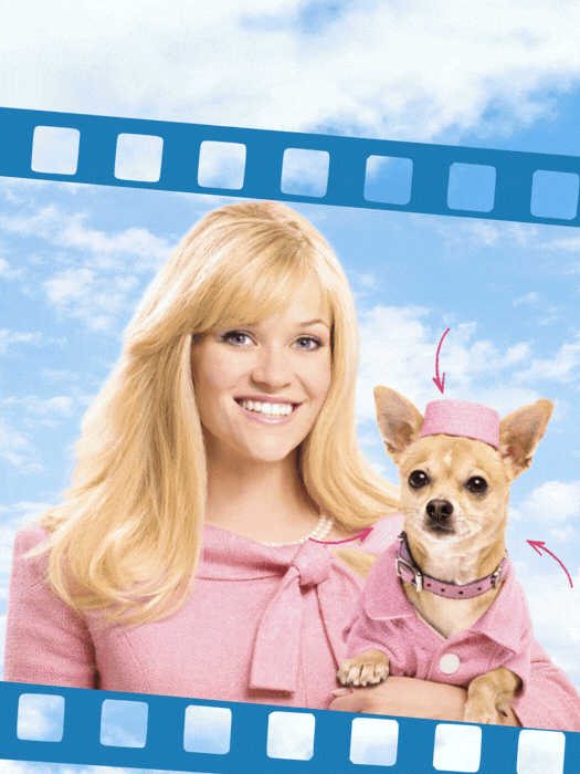 Can You Guess it Right