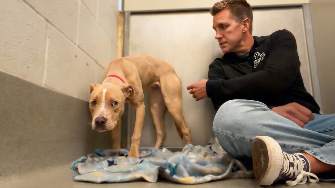 I Guessed This Shelter Dog's Name… Watch His Emotional Reaction