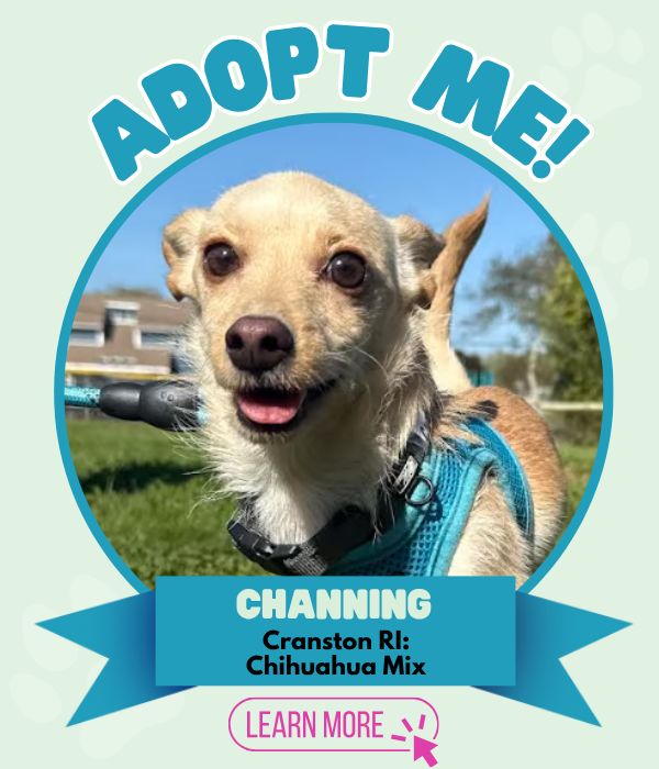 Adopt Channing