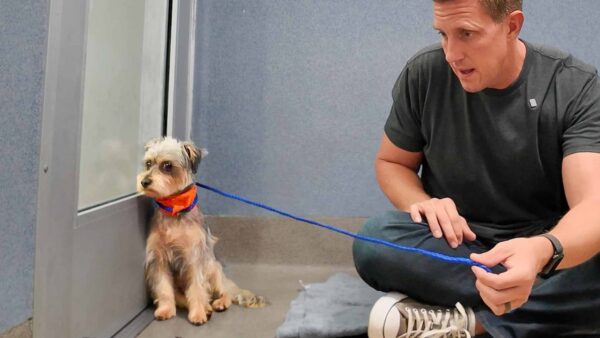 What's Next for Bodie