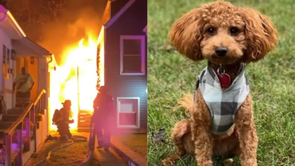 Family Was Minutes From Disaster—Until Their Little Dog Started Barking