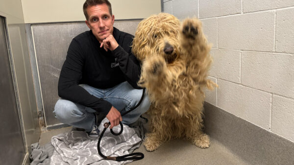 I Guessed This Shelter Dog's Name… Watch His Emotional Reaction