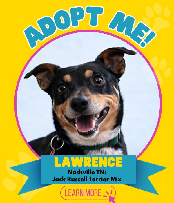 Adopt Lawrence