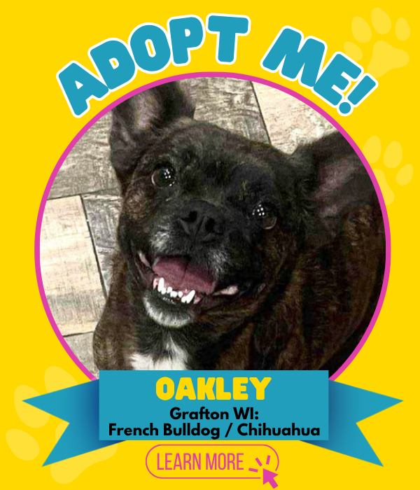 Adopt Oakley