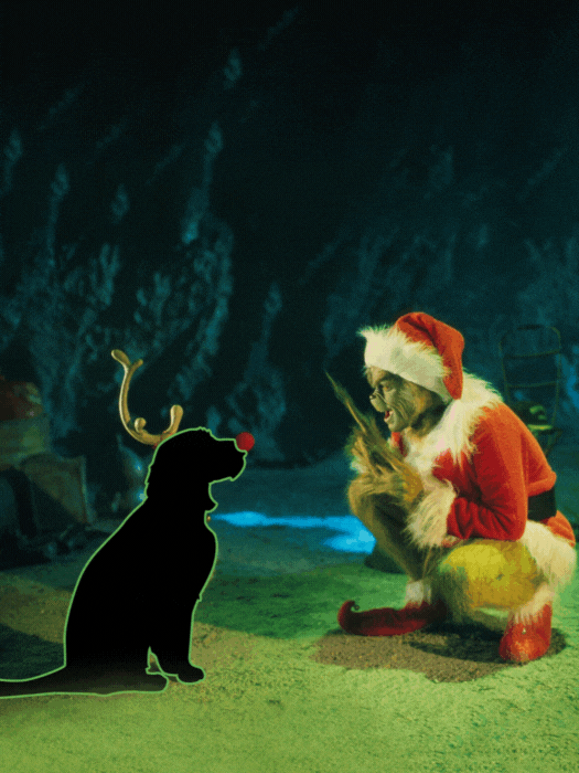 Can You Guess it Right