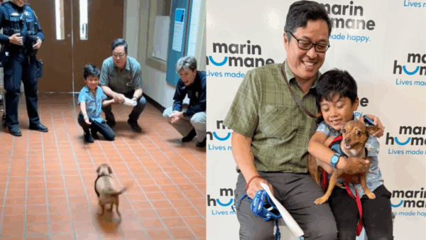 Family's Reaction Is Pure Joy When Their Dog Returns Home 13 Months Later