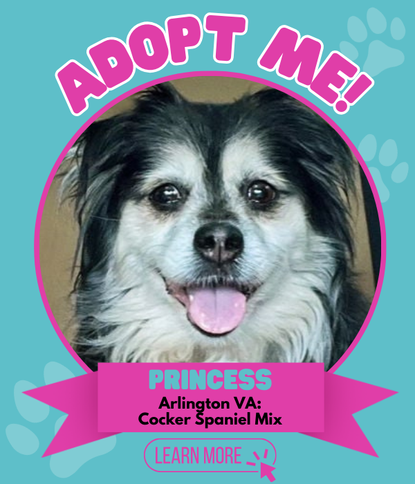 Adopt Princess