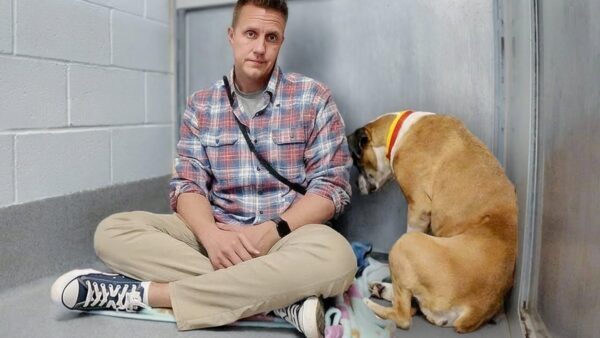 Watch This Dog's Reaction When She's Told Good Girl After Losing Her Mom