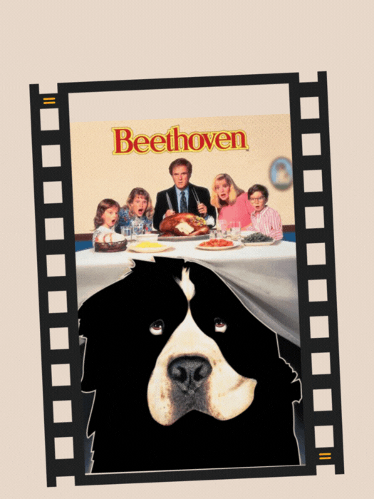 Can You Guess it Right