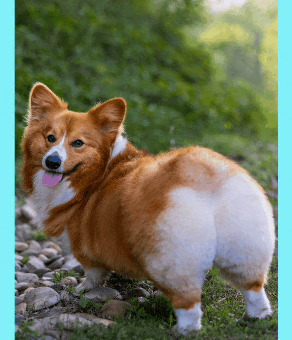 Can You Guess it Right