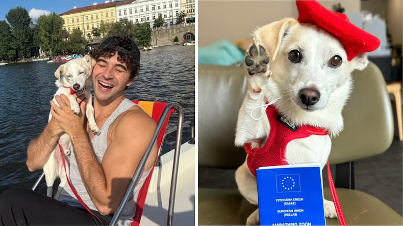 This Little Dog Was Abandoned in a Sealed Box, Now He's Visited 40 Countries With His Dad