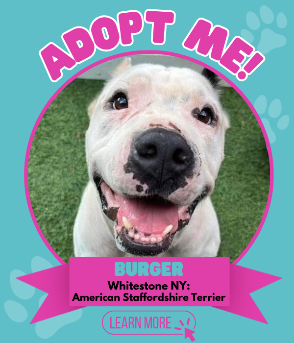 Adopt Burger