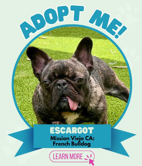 Adopt Escargot