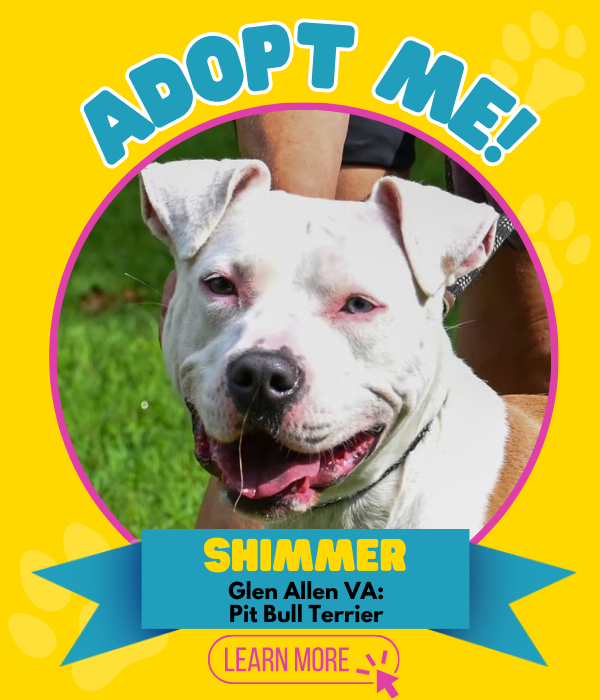 Adopt Shimmer
