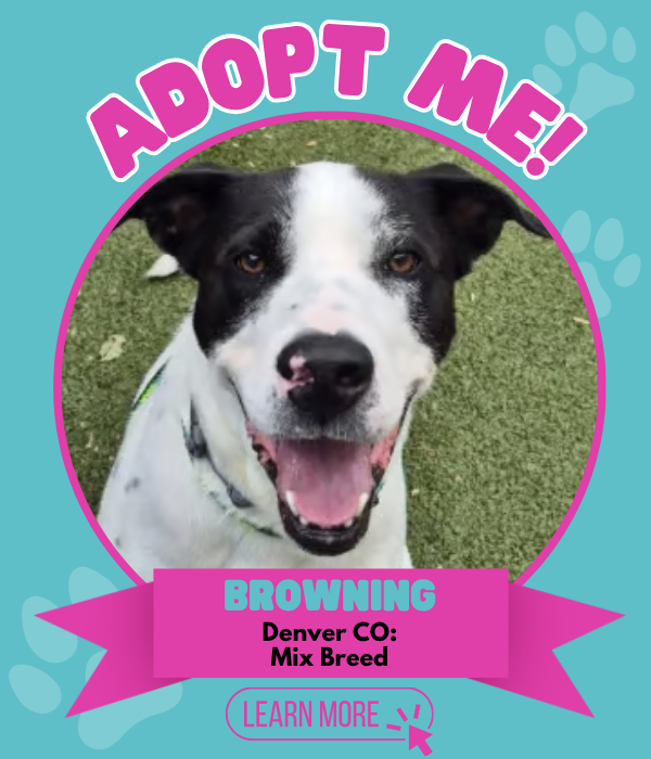 Adopt Browning