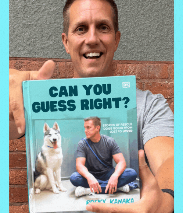 Can You Guess it Right