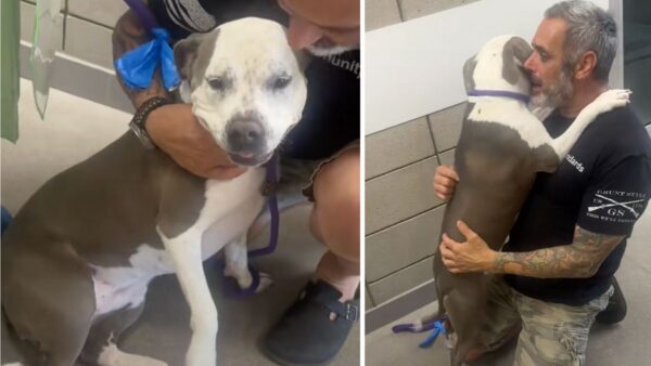 Shelter Dog Can't Stop Hugging Her Rescuer on Adoption Day—It's Impossible Not to Cry