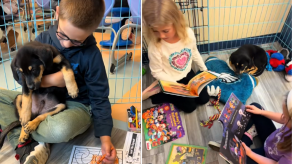 First Graders Foster Shy Puppies in the Classroom & It's Nothing Like You've Ever Seen