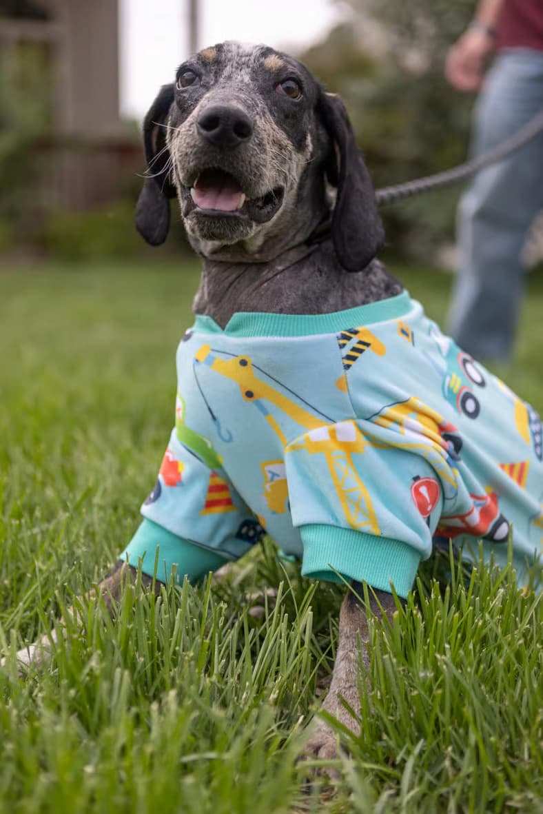Adopt Tad Arthur