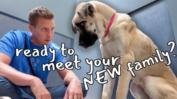 Watch this puppy discover love for the first time!