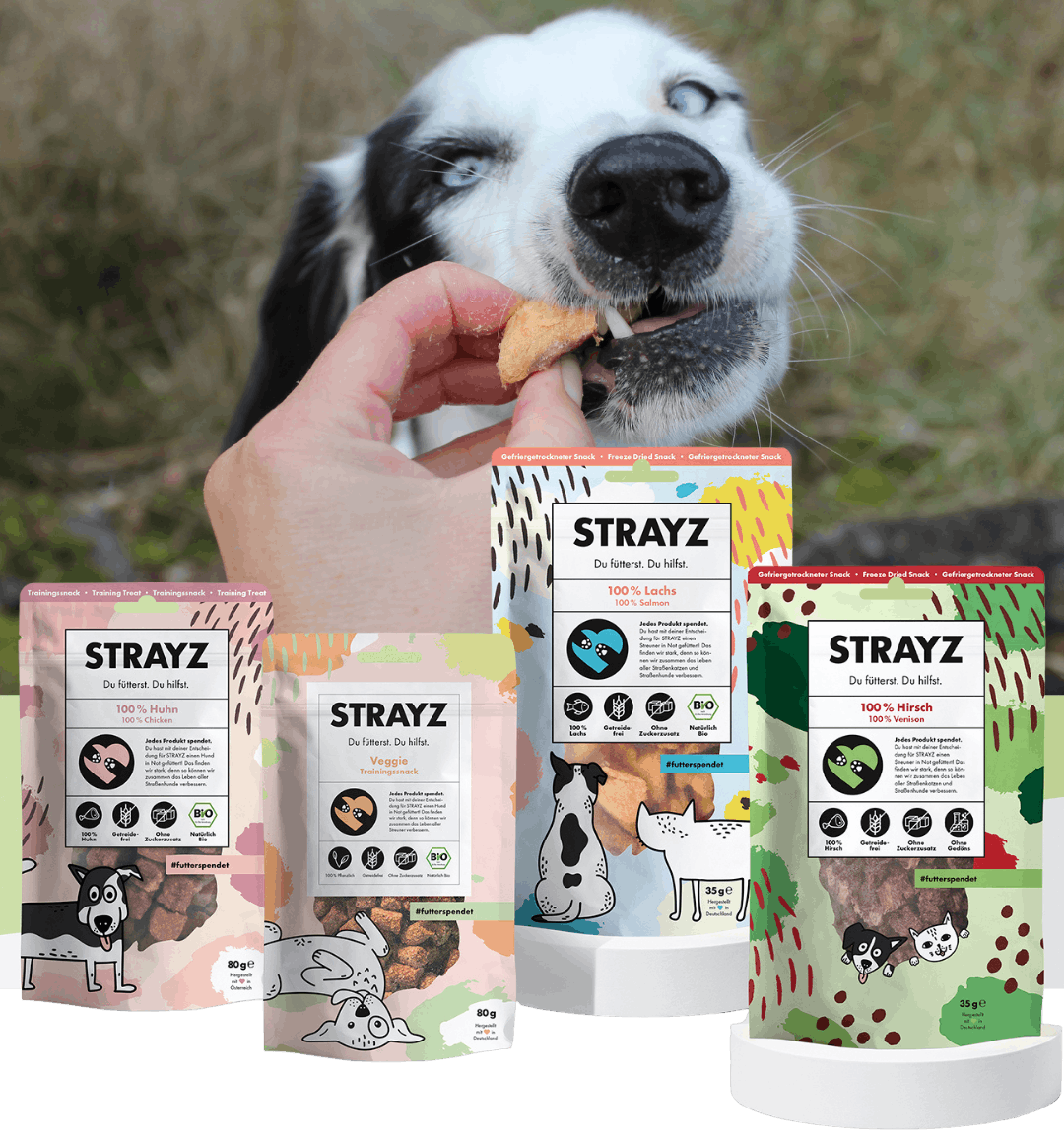 Bio Nassfutter fr Hunde mit natrlichen Zutaten | STRAYZ