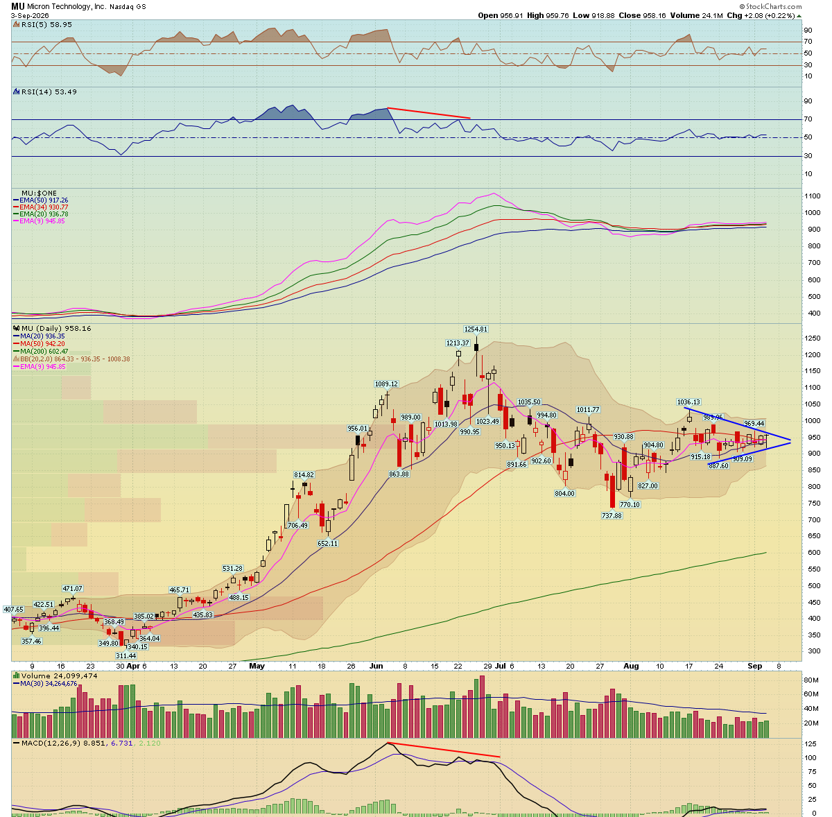 Micron daily