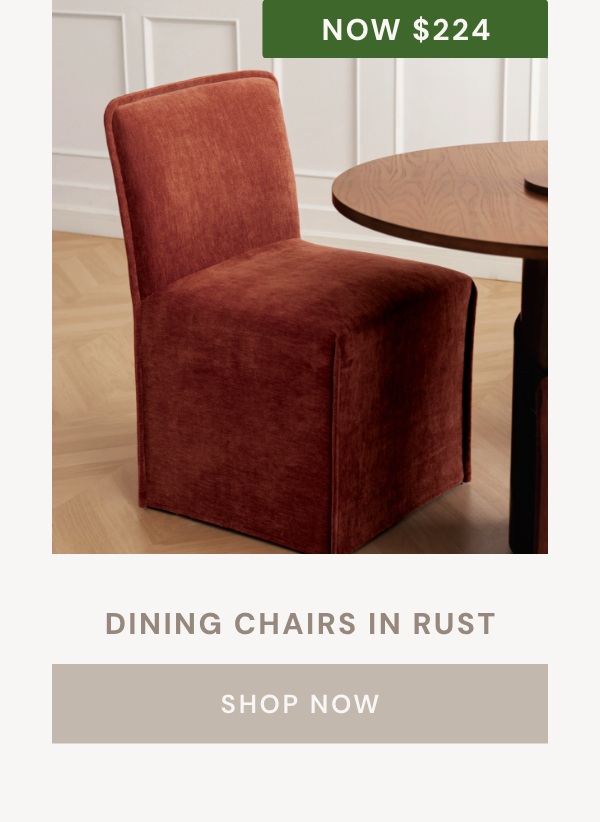 Dining Chair in Rust
