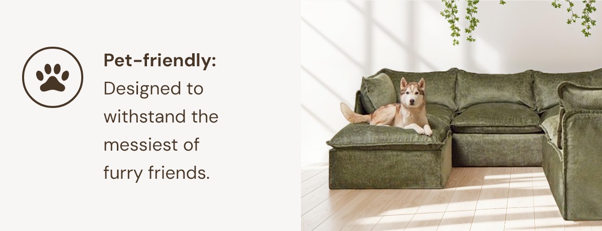 Pet-friendly