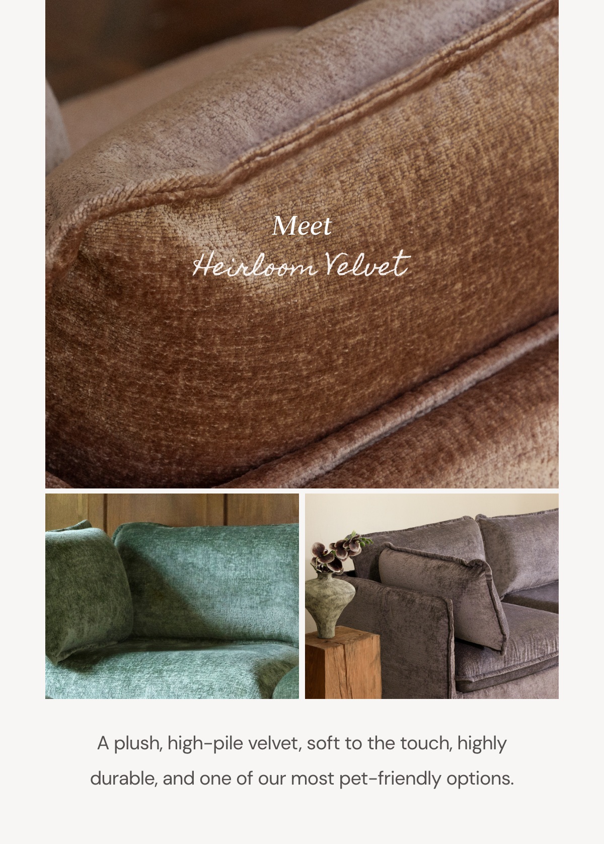 Meet Heirloom Velvet