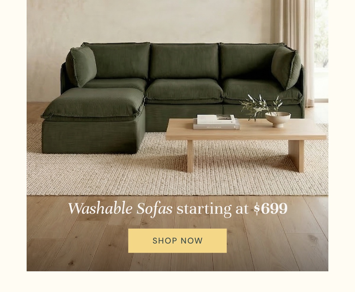 Washable Sofas - Starting at $699
