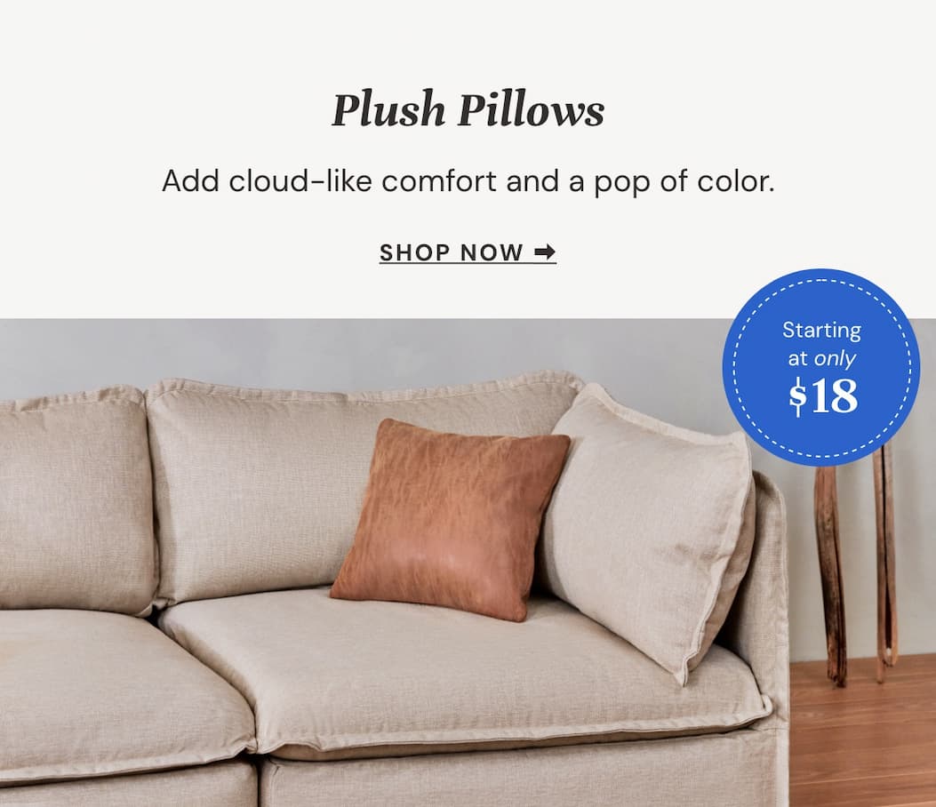 Plush Pillows: Add cloud-like comfort and a pop of color.